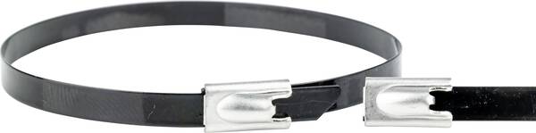 WKK ART006156 Edelstahl-Kabelbinder 200 mm 7.60 mm Schwarz 1 St.