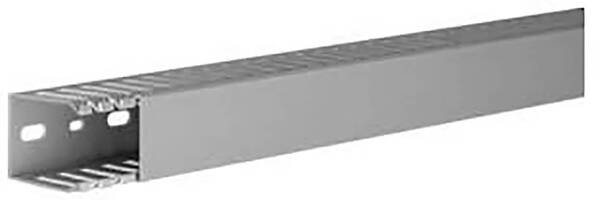 Hager DNG5003707030B Verdrahtungskanal (L x B x H) 2 m x 37 mm x 50 mm 2 m Grau