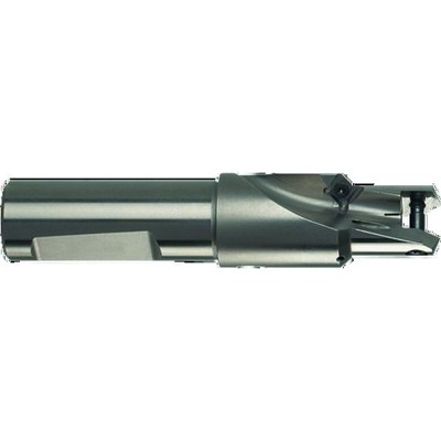 GÜHRING® - Wechselplattenhalter IK HT800 4105 Werksnorm vern.1xD RH20-21,99mm