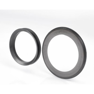 SKF - Gehäusedichtungen TSN311 A