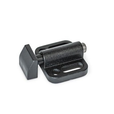 Ganter Norm® - 415-ZD-32-B1-KG-2 Seitendruckstücke