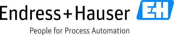 Endress+Hauser 71355718 Adapter 1 Set