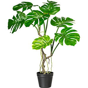 Splitphilodendron, Höhe ca. 750 mm, im Kunststofftopf mit Erde.
