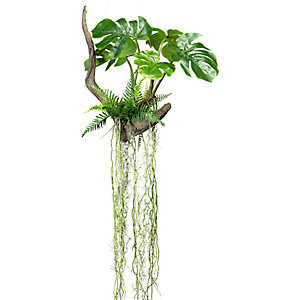 Splitphilodendron auf Wurzel, 500 x 500 mm, Höhe 1600 mm, mit Farn und Luftwurzeln.