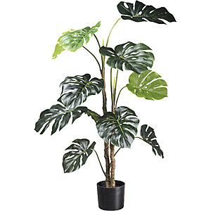 Splitphilodendron, Kunststofftopf, Höhe 1400 mm.